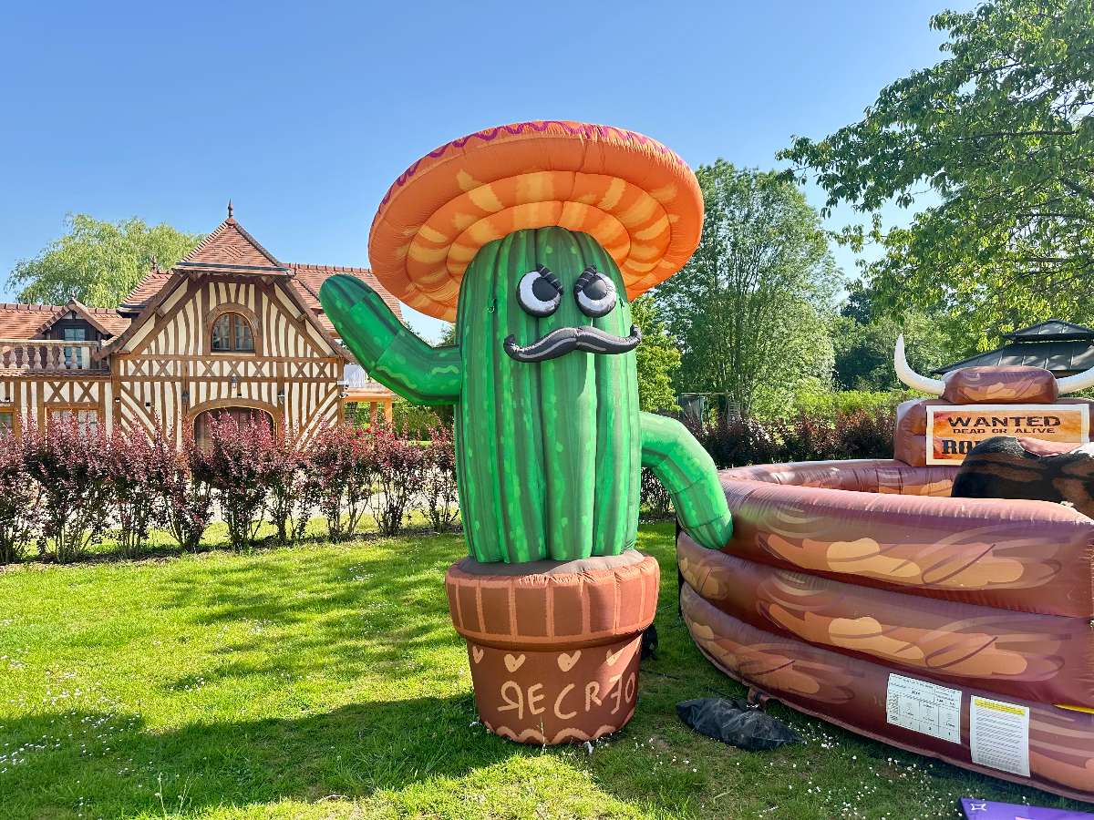 Cactus Gonflable