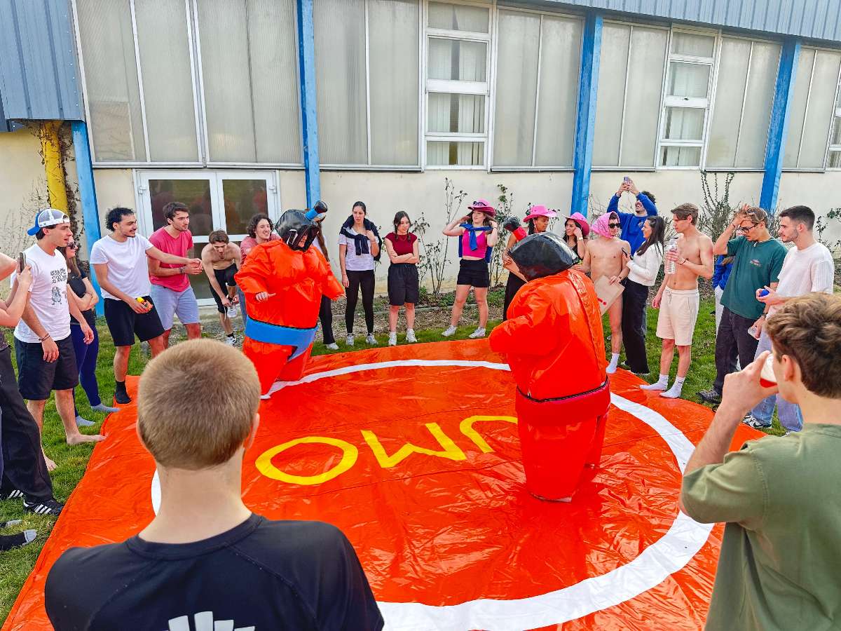 un combat de sumo adulte  avec du monde autour qui observe 