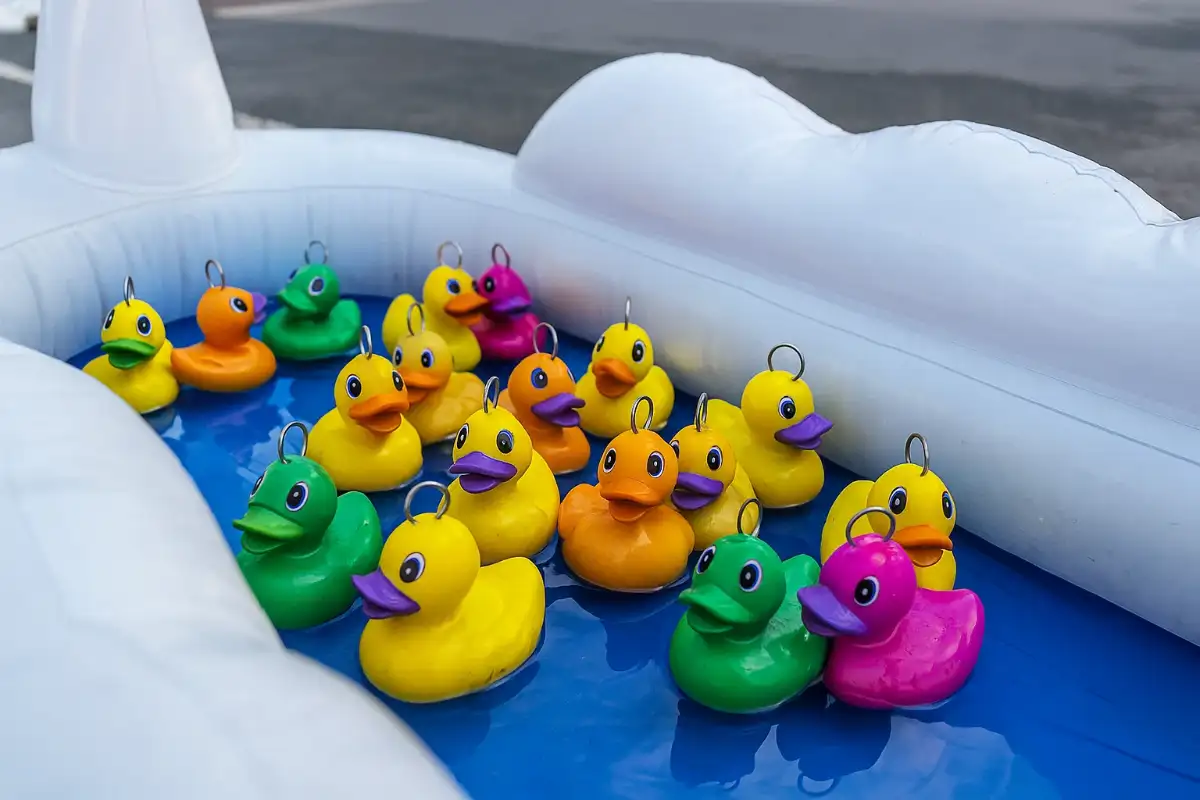 des canards avec des anneaux sur la tête  il sont multicolore et flottent à l'intérieur du bassin avec les parois blanche et le fond bleu