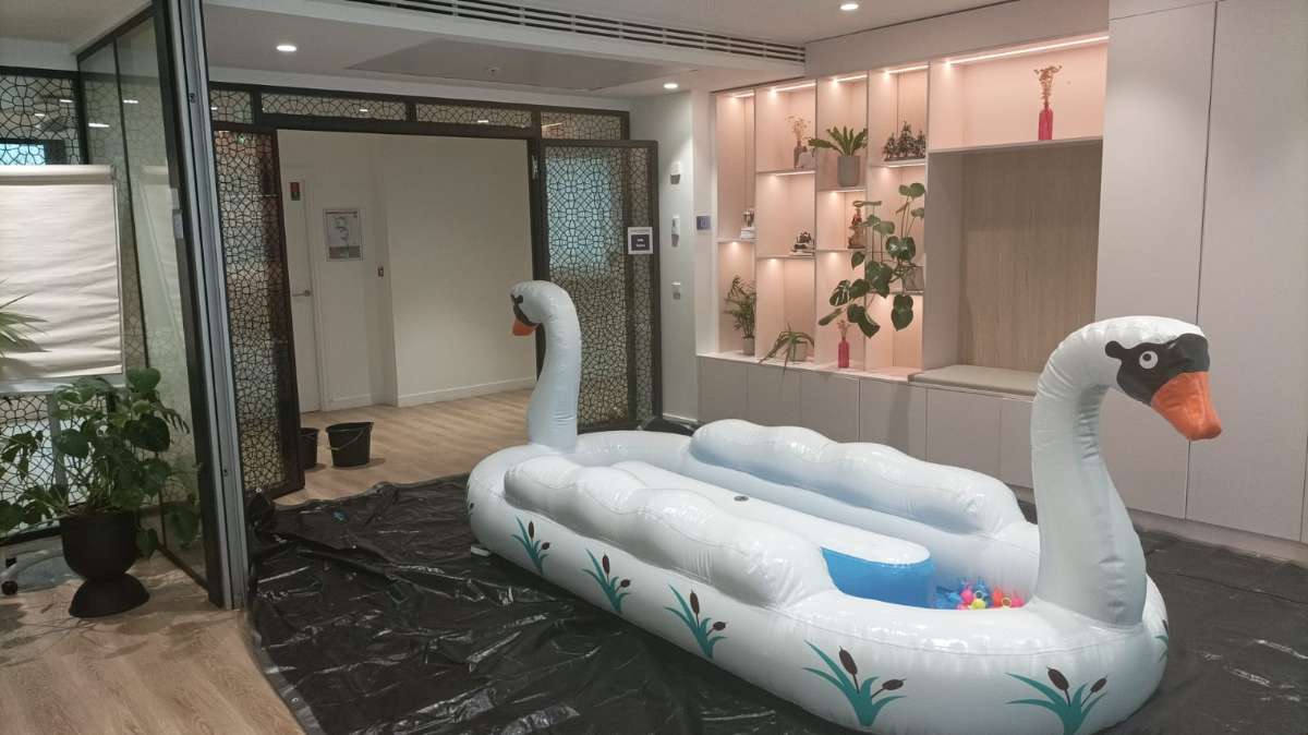 Pêche aux canards en forme de cygne blanc dans une bureau avec une belle décoration en arrière plan