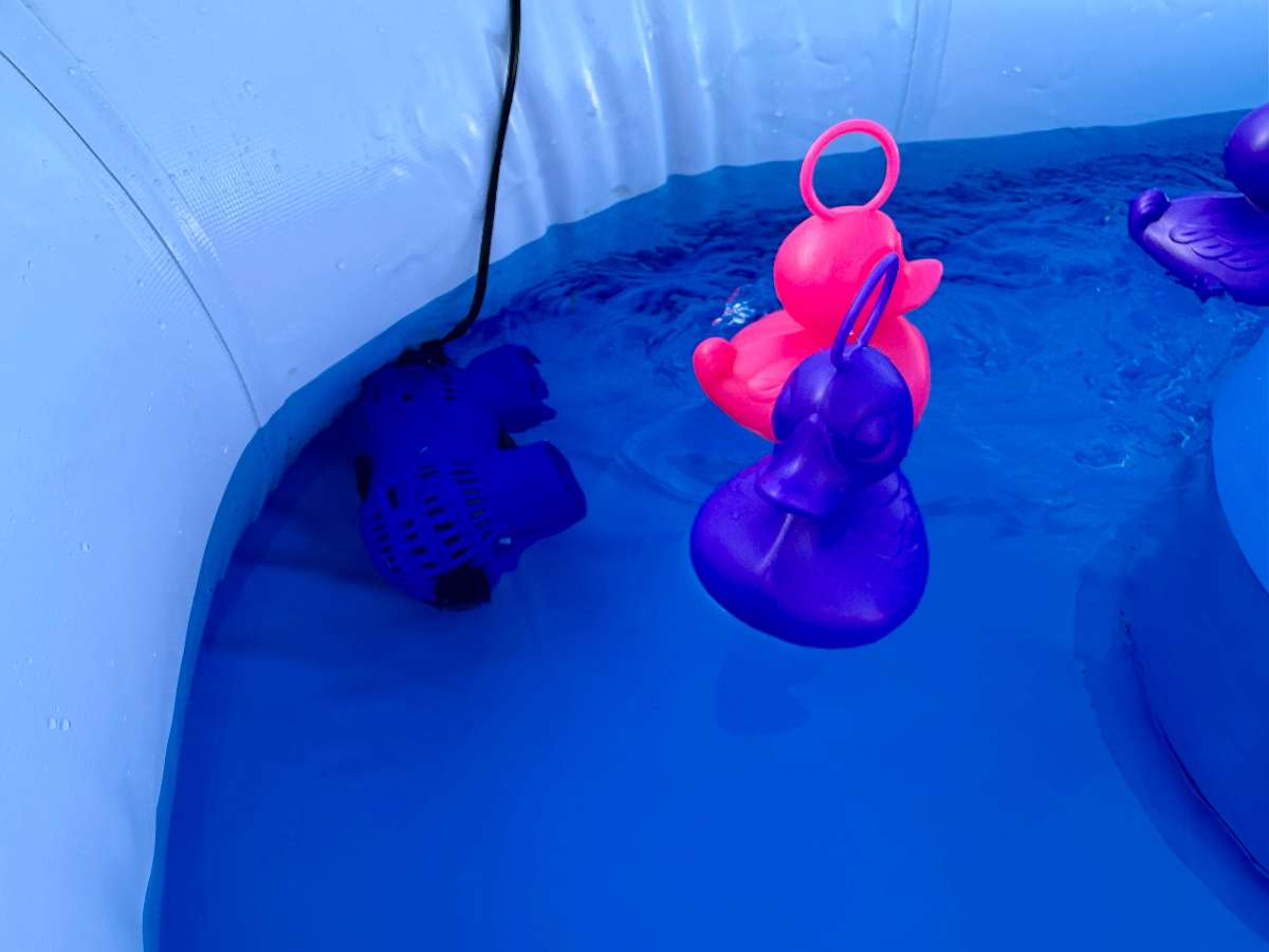 des canards avec des anneaux sur la tête  il sont multicolore et flottent à l'intérieur du bassin avec les parois blanche et le fond bleu et un moteur pour propulser l'eau 