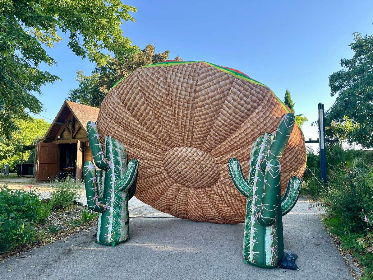 Sombrero Western Géant Gonflable