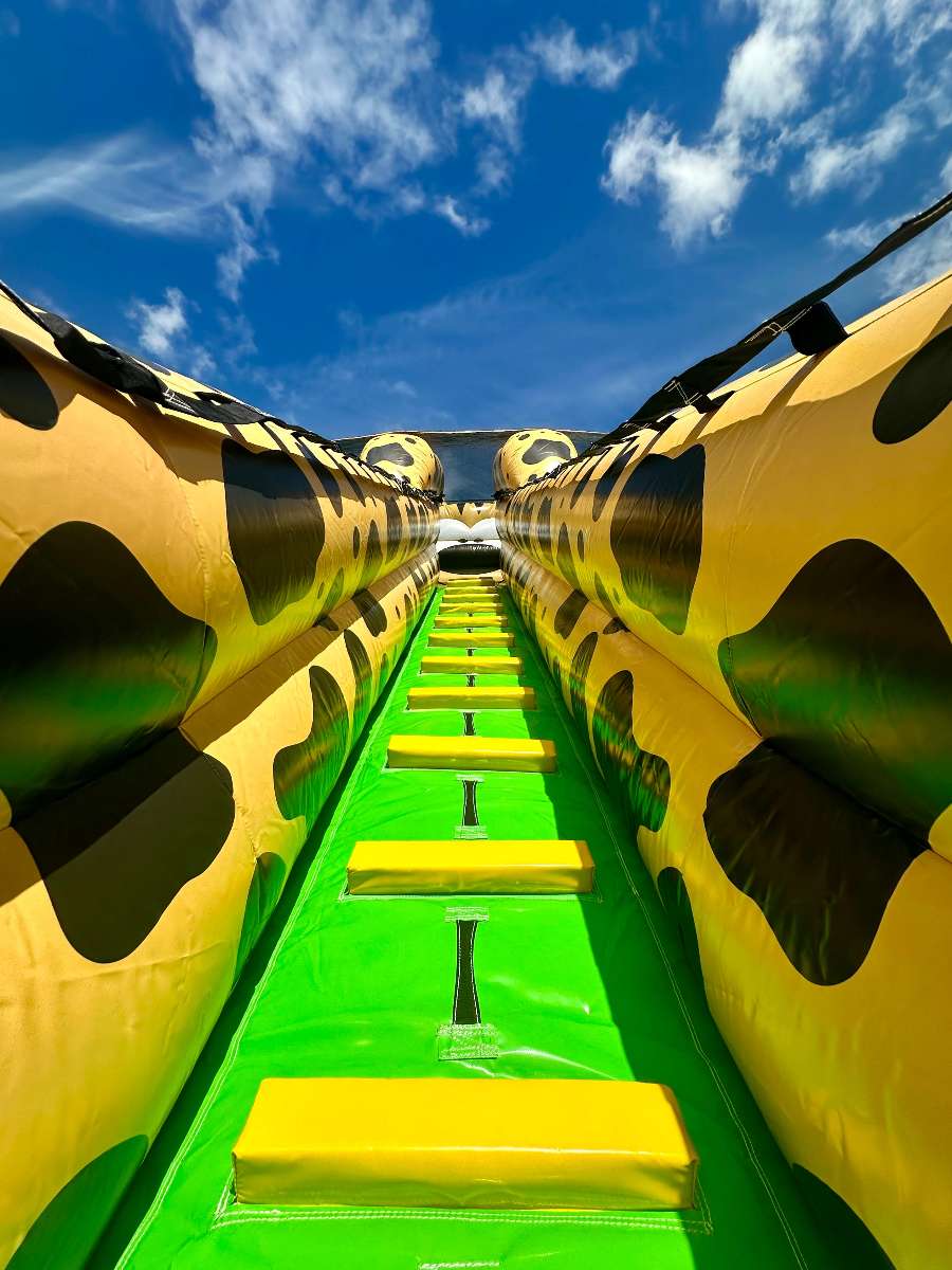 escalier du toboggan gonflable marsupilami