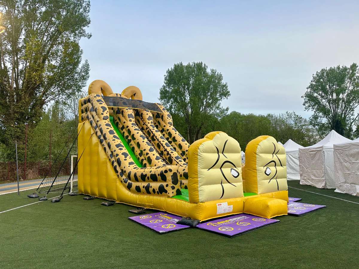 Toboggan Gonflable Marsupilami