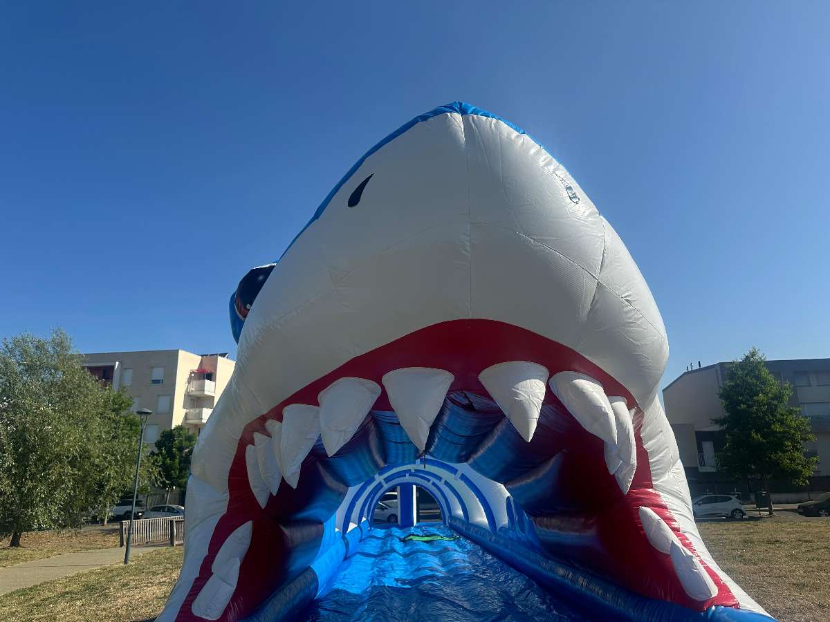 Tête du requin avec la bouche grande ouverte et ses dent blanche pointues 