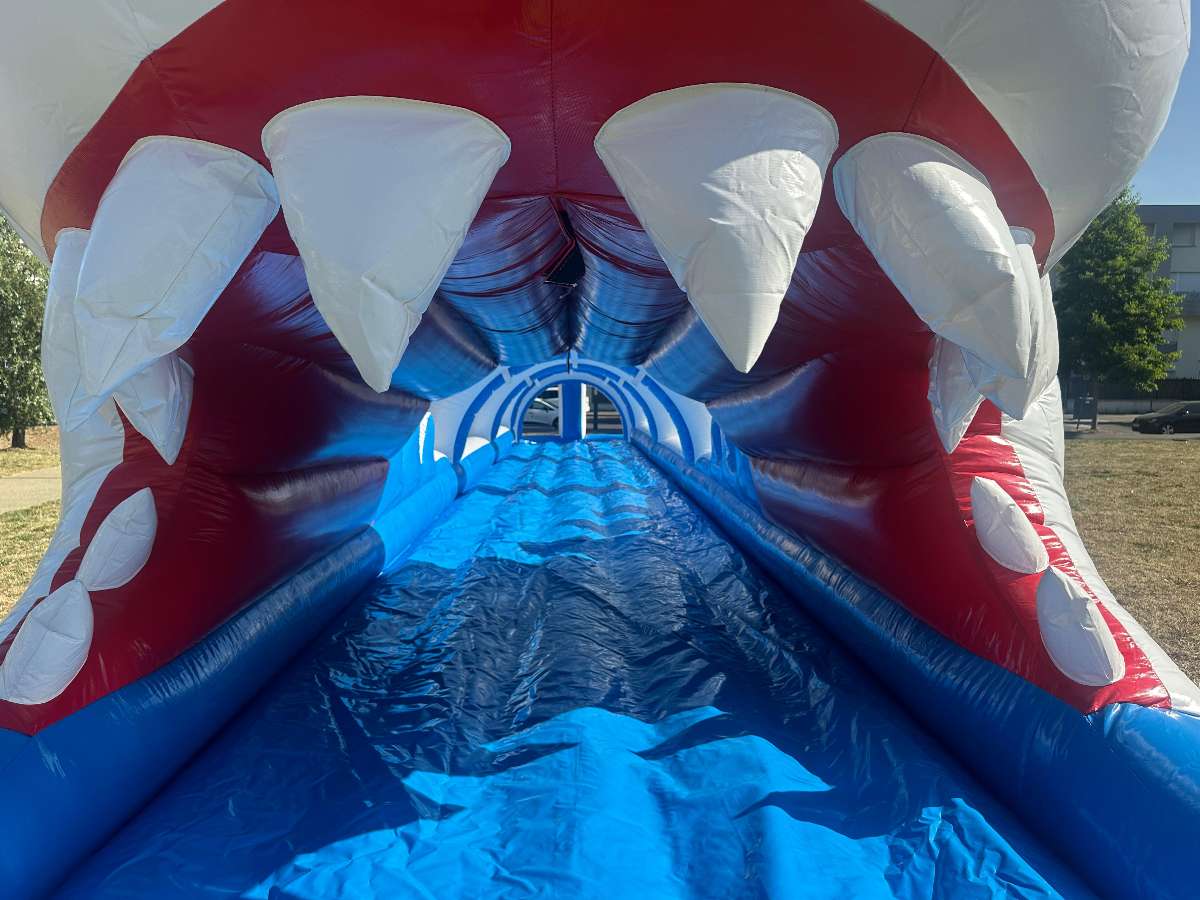l'intérieur du ventriglisse requin gonflable avec des dents