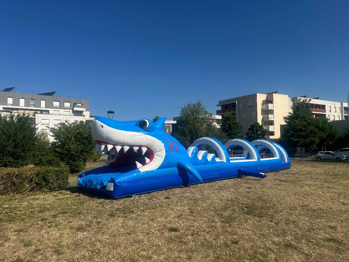 Ventriglisse Requin installé sur de l'herbe sèche en plein soleil 