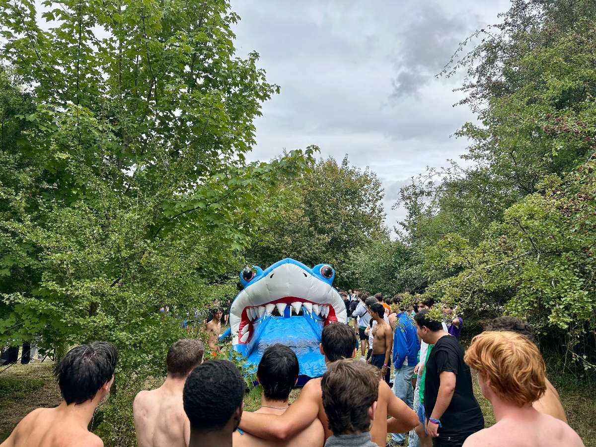 un bde qui utilise le ventriglisse requin