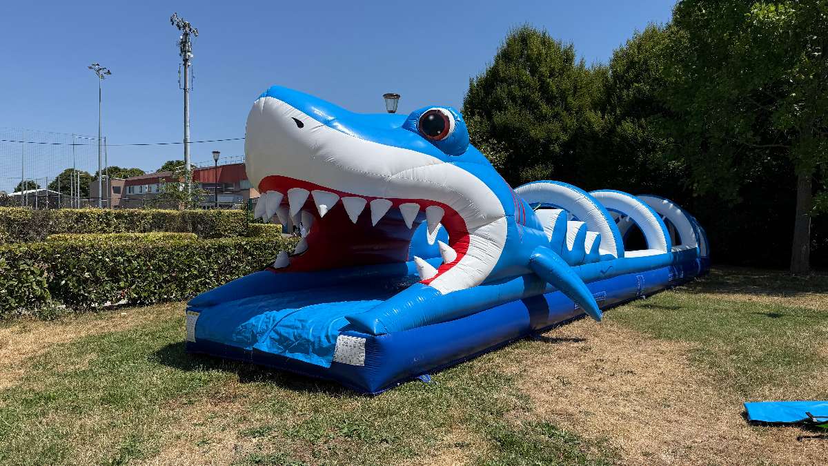 Ventriglisse Requin Gonflable