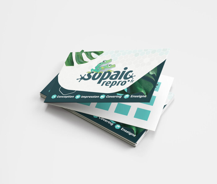 Carte de fidelite double - paysage