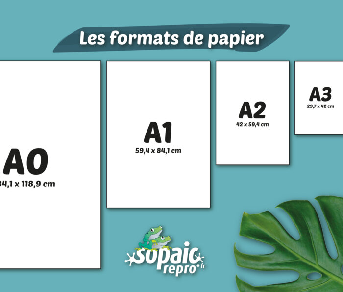 Formats disponibles - Affiche Fluo