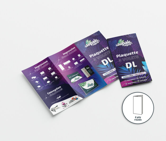 Plaquette DL - plis roulés