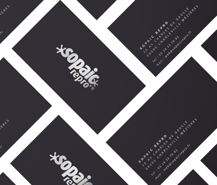 Carte de visite avec dorure a chaud 3D argentee