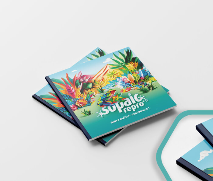 Dossier avec reliure tissu encollé