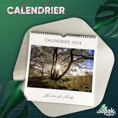 Calendrier mural à spirale