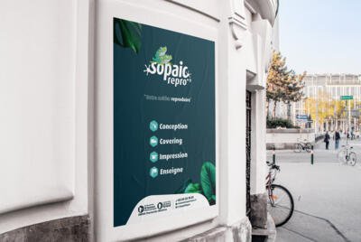 Affiche papier dos bleu