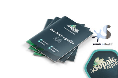 Brochure agrafée A6 portrait avec vernis