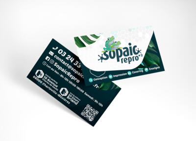 Carte commerciale standard 85 x 55 mm - coins carrés