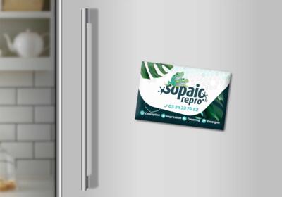 Carte commerciale magnetique rectangle