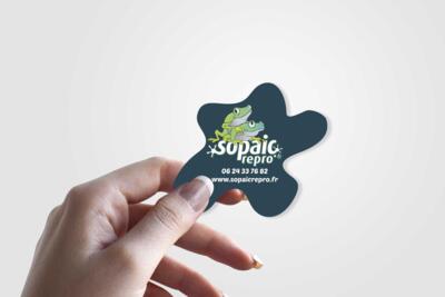 Carte de visite avec decoupe personnalisee