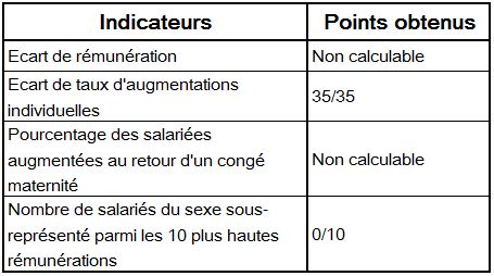 Index égalité femmes/hommes Index égalité