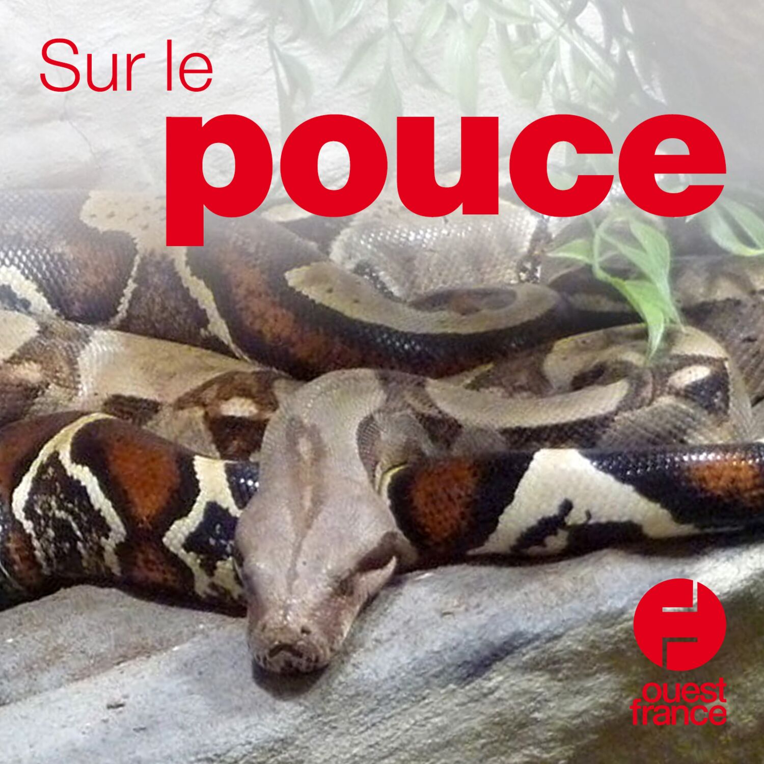 15 octobre 2019