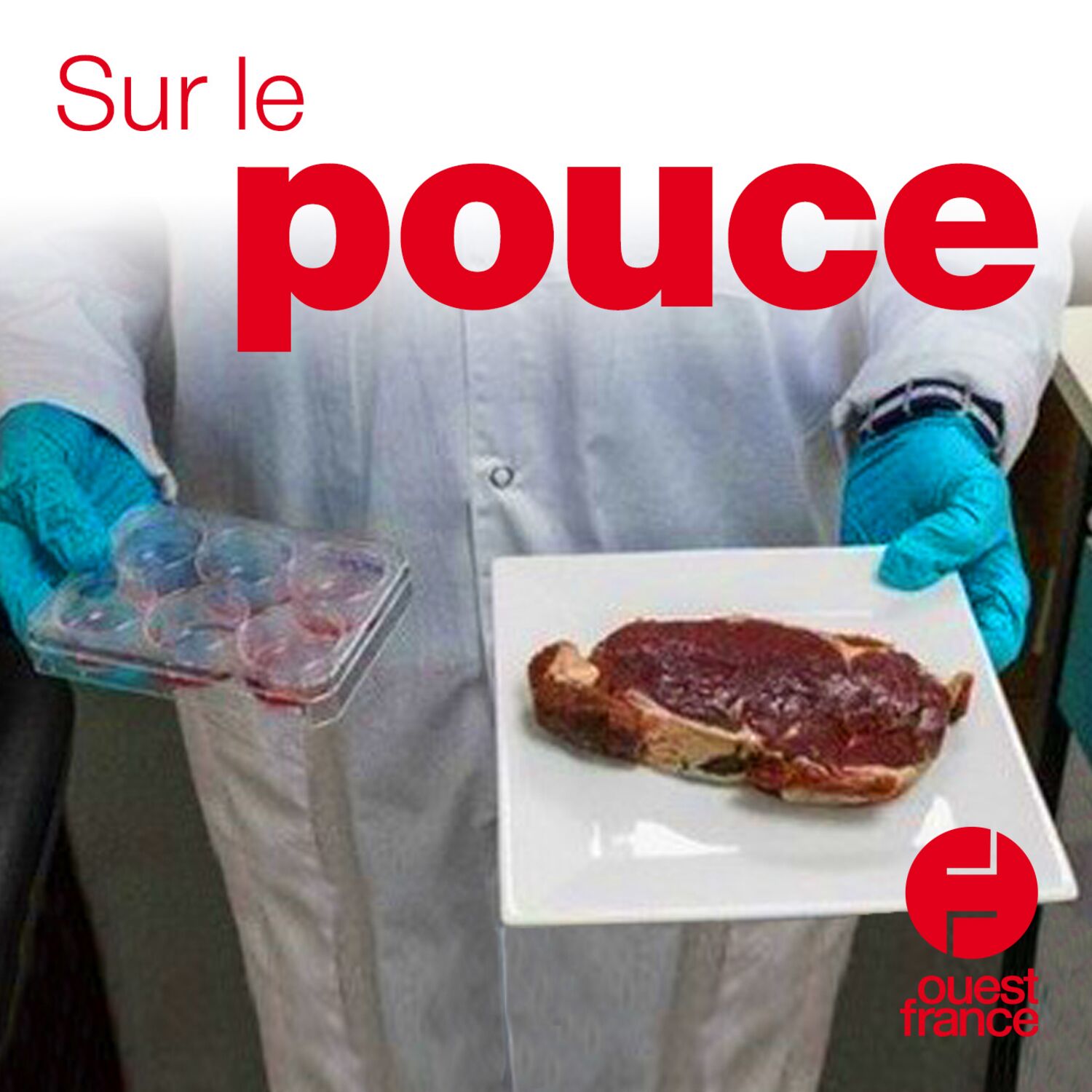 10 octobre 2019
