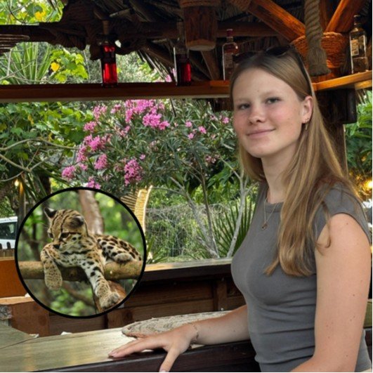 Margay - Estelle Decre