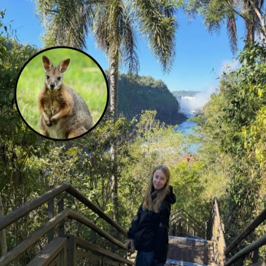 Wallaroo - Antoinette David