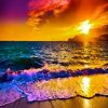 محرر ومصمم ومبرمج