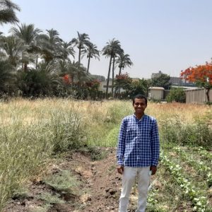 مستقل