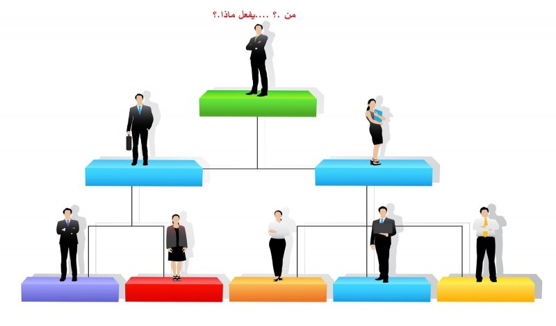 إعداد الهيكل التنظيمي الفعال والوصف الوظيفي لكل مستوي تنظيمي