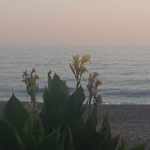 مستقل