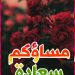 بوستات فيس بوك وانستاجرام