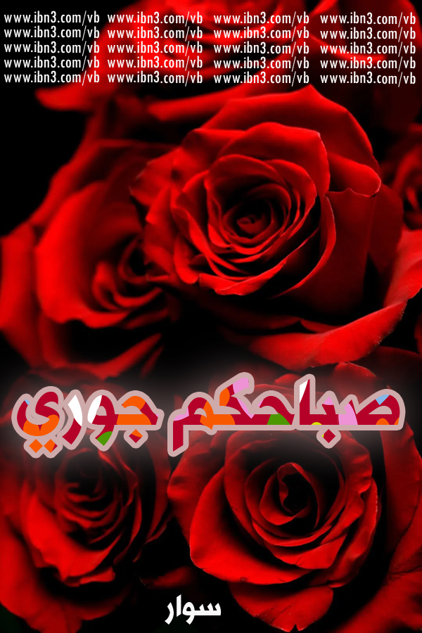 بوستات فيس بوك وانستاجرام