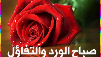 الخدمة 