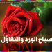 اصمم صور ثايتة ومتحركة مميزة