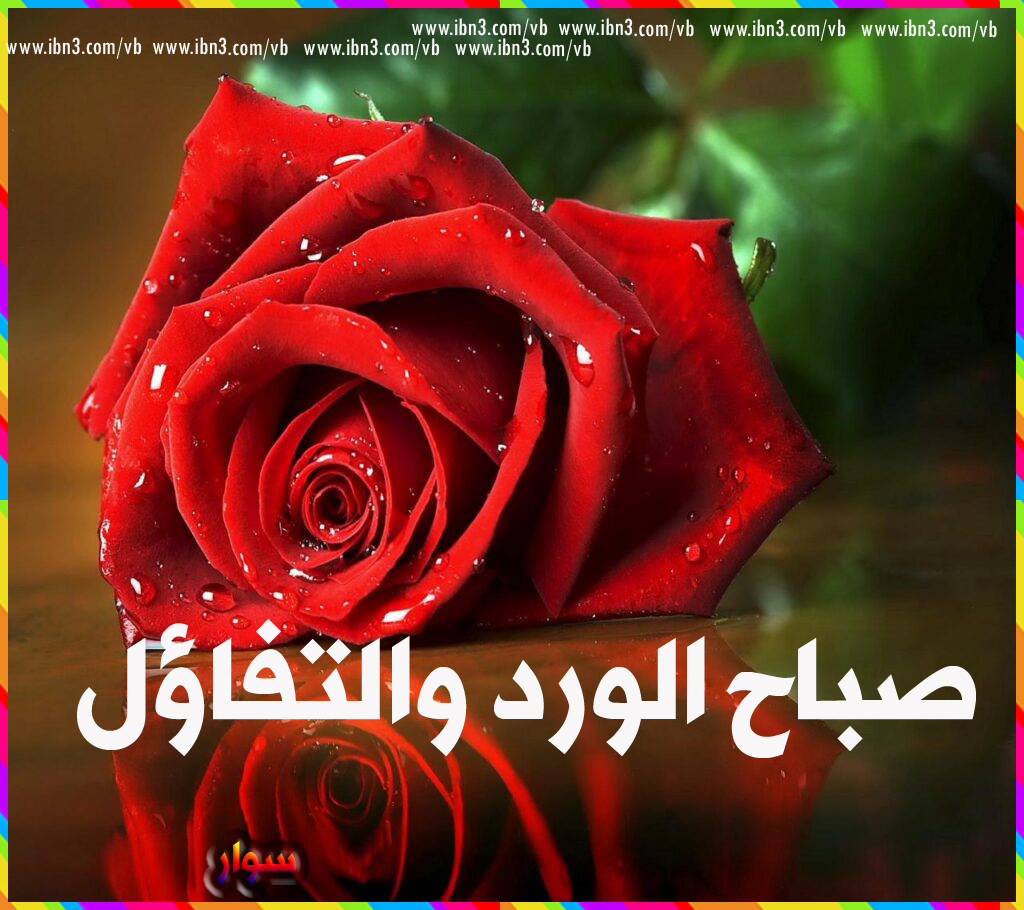 اصمم صور ثايتة ومتحركة مميزة
