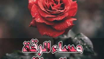 الخدمة 