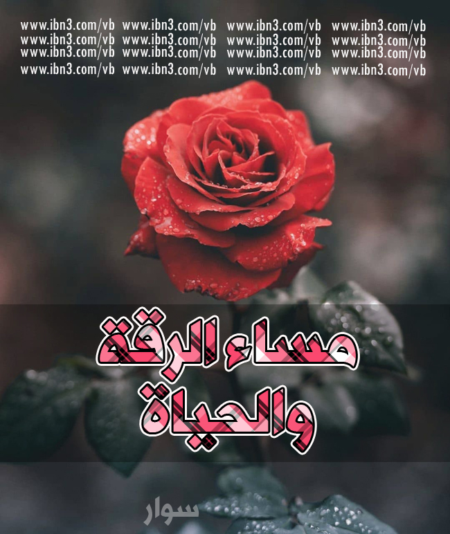 اصمم صور ثايتة ومتحركة مميزة