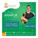 social media design