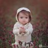 رئيس حسابات