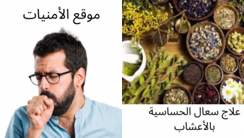 نموذج أعمال