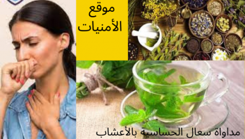 نموذج أعمال