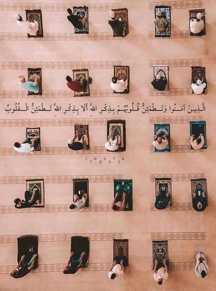 المستخدم راية