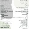 مسؤول امن الشبكات