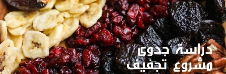 كتابة مقال عن دراسة جدوى مشروع تجفيف الفاكهة والخضروات