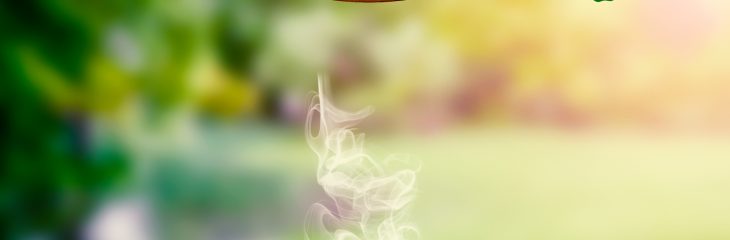 تصميم سوشيال ميديا