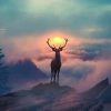UI/UX/ Wordpress developer/ Networks design