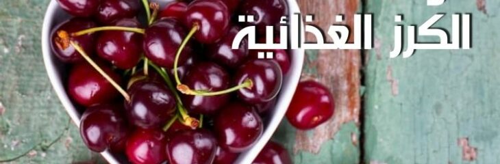 مقال عن: فوائد الكرز الغذائيه؛ أهم عناصر هذه الفاكهة التي تفيد الجسم وتمده بالطاقة